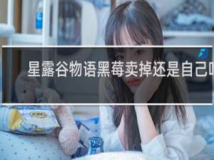 星露谷物语黑莓卖掉还是自己吃