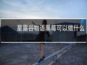 星露谷物语黑莓可以做什么