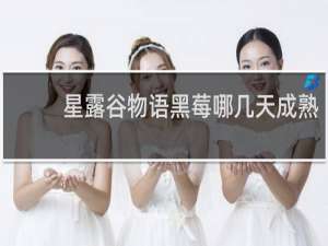 星露谷物语黑莓哪几天成熟