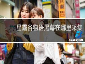 星露谷物语黑莓在哪里采集