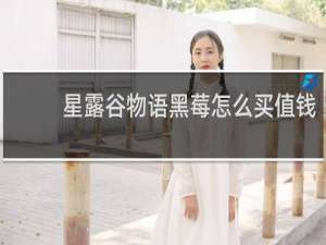 星露谷物语黑莓怎么买值钱