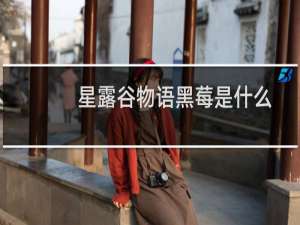 星露谷物语黑莓是什么