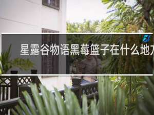 星露谷物语黑莓篮子在什么地方