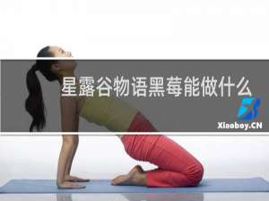 星露谷物语黑莓能做什么