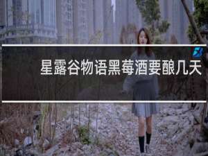 星露谷物语黑莓酒要酿几天