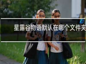 星露谷物语默认在哪个文件夹