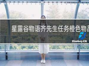 星露谷物语齐先生任务橙色物品