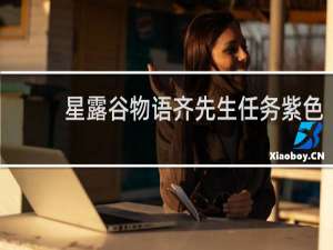 星露谷物语齐先生任务紫色