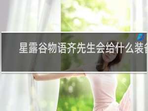 星露谷物语齐先生会给什么装备