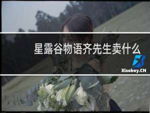 星露谷物语齐先生卖什么