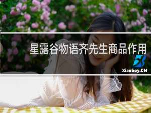 星露谷物语齐先生商品作用