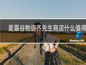 星露谷物语齐先生商店什么值得买