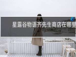 星露谷物语齐先生商店在哪里