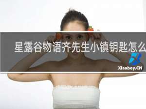 星露谷物语齐先生小镇钥匙怎么用