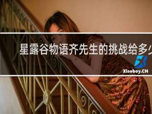 星露谷物语齐先生的挑战给多少