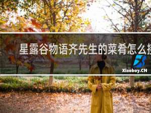 星露谷物语齐先生的菜肴怎么接