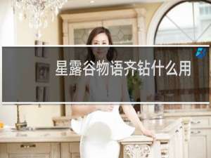 星露谷物语齐钻什么用