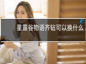 星露谷物语齐钻可以换什么