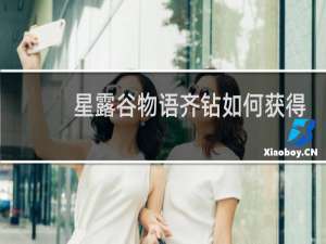 星露谷物语齐钻如何获得