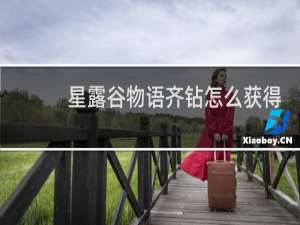 星露谷物语齐钻怎么获得