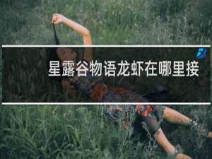 星露谷物语龙虾在哪里接