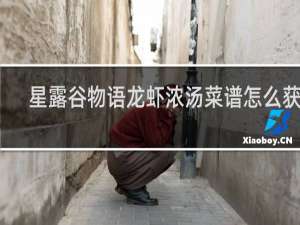 星露谷物语龙虾浓汤菜谱怎么获得