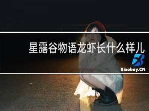 星露谷物语龙虾长什么样儿