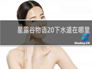 星露谷物语 下水道在哪里