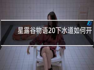 星露谷物语 下水道如何开