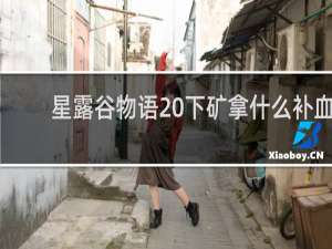 星露谷物语 下矿拿什么补血