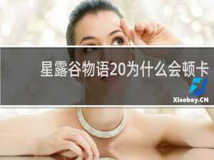 星露谷物语 为什么会顿卡