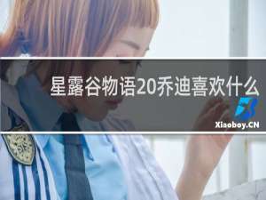 星露谷物语 乔迪喜欢什么