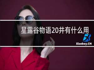 星露谷物语 井有什么用