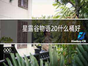 星露谷物语 什么桶好