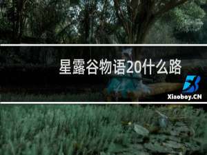 星露谷物语 什么路