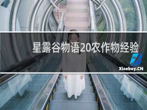 星露谷物语 农作物经验