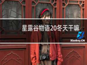 星露谷物语 冬天干嘛