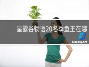 星露谷物语 冬季鱼王在哪