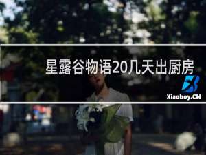 星露谷物语 几天出厨房