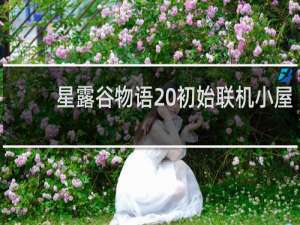 星露谷物语 初始联机小屋