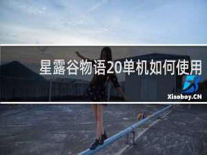 星露谷物语 单机如何使用