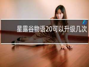 星露谷物语 可以升级几次