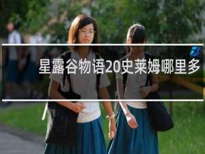 星露谷物语 史莱姆哪里多