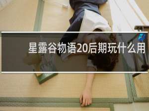 星露谷物语 后期玩什么用