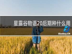 星露谷物语 后期种什么用