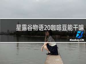 星露谷物语 咖啡豆能干嘛