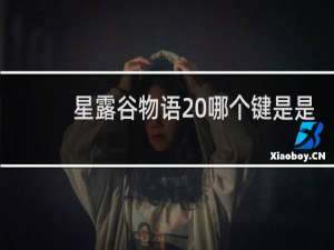 星露谷物语 哪个键是是