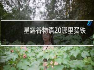 星露谷物语 哪里买铁