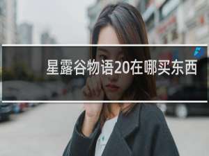 星露谷物语 在哪买东西