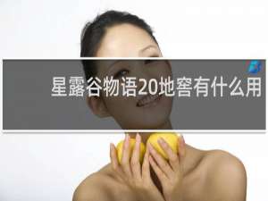 星露谷物语 地窖有什么用